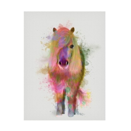 Fab Funky 'Pony 1 Full Rainbow Splash' Canvas Art,24x32